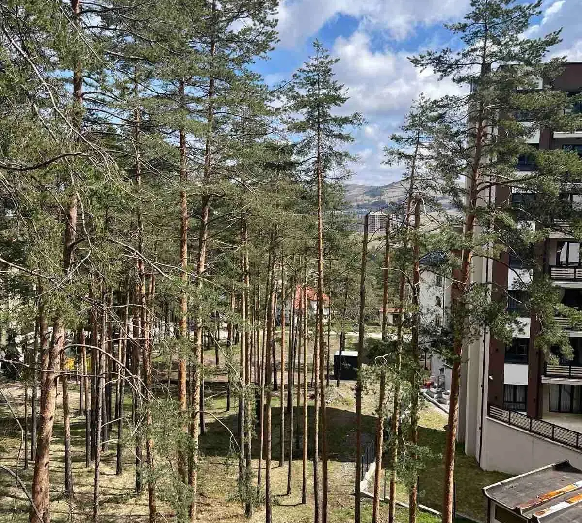 Prodaja, garsonjera, 36m², Kamalj, Zlatibor