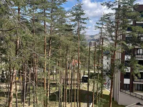 Prodaja, garsonjera, 36m², Kamalj, Zlatibor - image 13