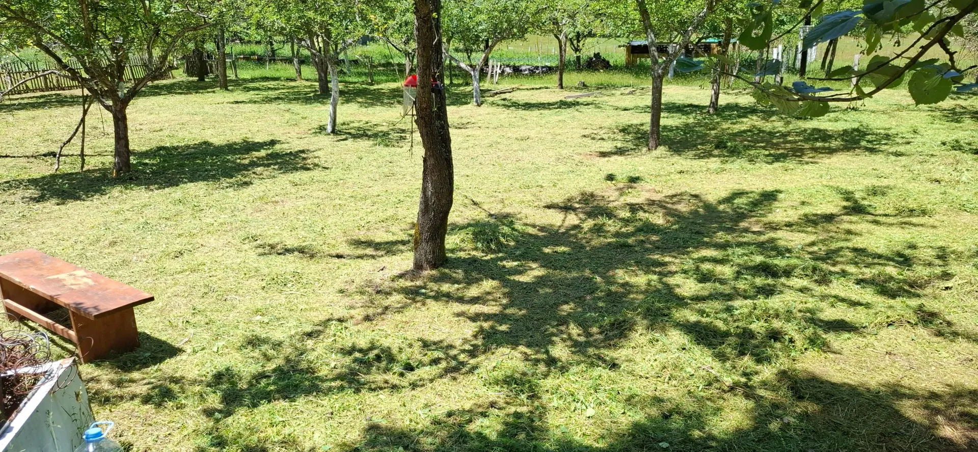 Prodaja, plac, 4000m², Dobrilovina, Mojkovac