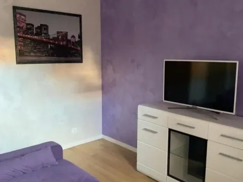 Izdavanje, dvosoban stan, 55m², Novi Beograd Blok 67, Novi Beograd Sve Podlokacije - image 5