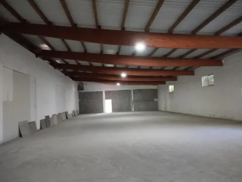 Izdavanje, poslovni prostor, 780m², Altina, Beograd - image 6