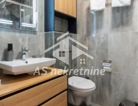 Izdavanje, dvosoban stan, 55m², Južni Bulevar, Vračar Sve Podlokacije - image 27