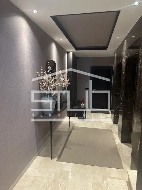 Rent, apartment, 350m², Južni Bulevar, Vračar Sve Podlokacije