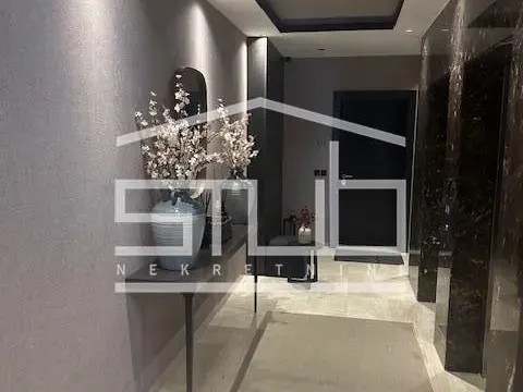 Izdavanje, stan, 350m², Južni Bulevar, Vračar Sve Podlokacije - image 17