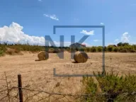 Prodaja, plac, 2300m², Zeta, Podgorica - image 1