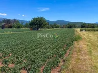 Sale, land lot, 6077m², Miločani, Nikšić - image 2