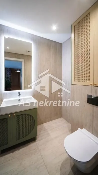 Izdavanje, trosoban stan, 100m², Vračar Sve Podlokacije, Beograd