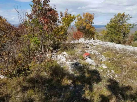 Prodaja, plac, 529222m², Vilusi, Nikšić - image 13