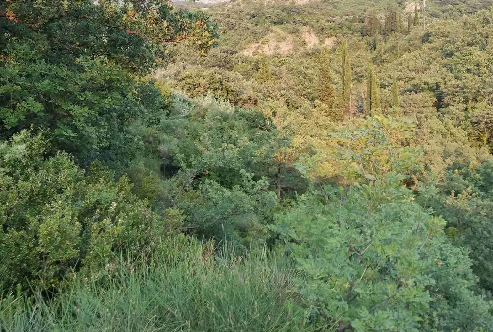 Prodaja, plac, 9880m², Bar, Crna Gora