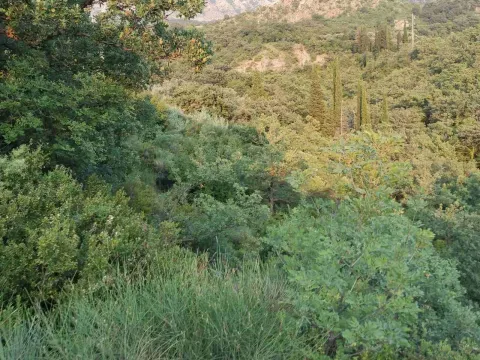 Prodaja, plac, 9880m², Bar, Crna Gora - image 3