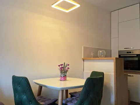 Izdavanje, jednosoban stan, 45m², Pobrežje, Podgorica - image 3