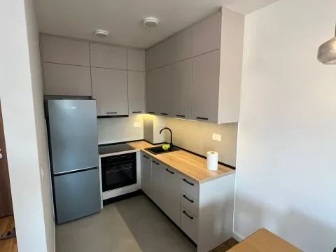 Izdavanje, jednosoban stan, 47m², Stari Aerodrom, Podgorica - image 11