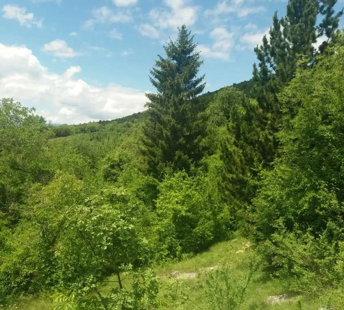 Sale, land lot, 120m², Nikšić, Crna Gora