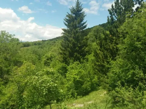 Prodaja, plac, 120m², Nikšić, Crna Gora - image 3