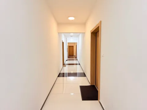 Izdavanje, jednosoban stan, 50m², Vezirov Most, Podgorica - image 12