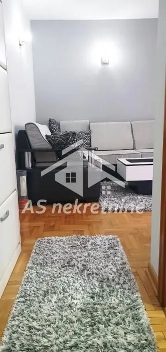 Izdavanje, dvosoban stan, 40m², Vračar Sve Podlokacije, Beograd