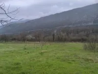 Sale, land lot, 4000m², Kujava, Danilovgrad - image 3