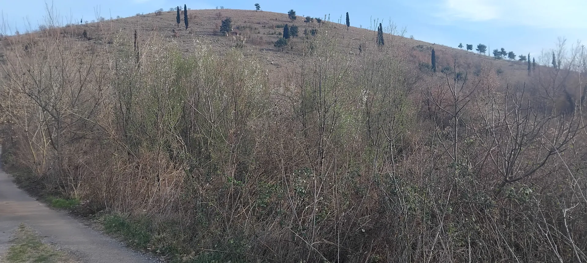 Pogled na zemljište sa grmljem i stazom u prirodi.
