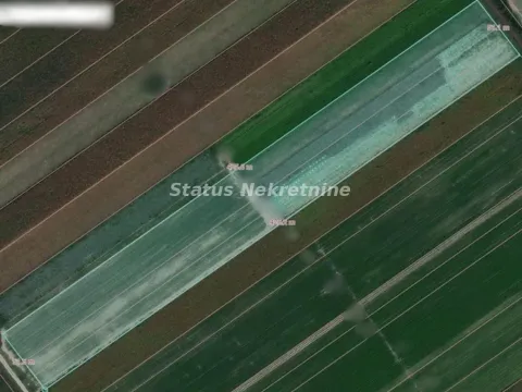 Sale, land lot, 215m², Futog, Novi Sad Sve Podlokacije - image 9