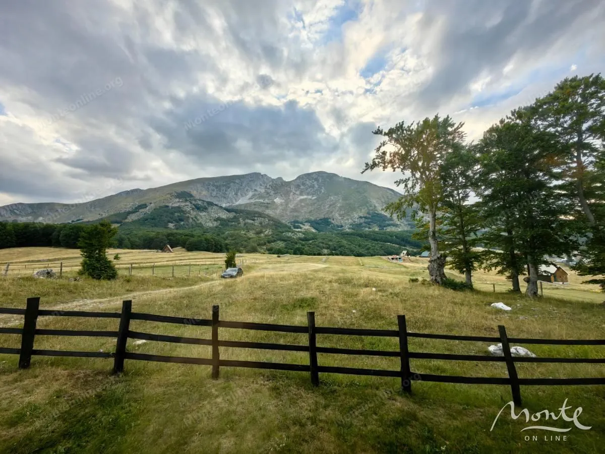 Prodaja, kuća, 100m², Motički gaj, Žabljak