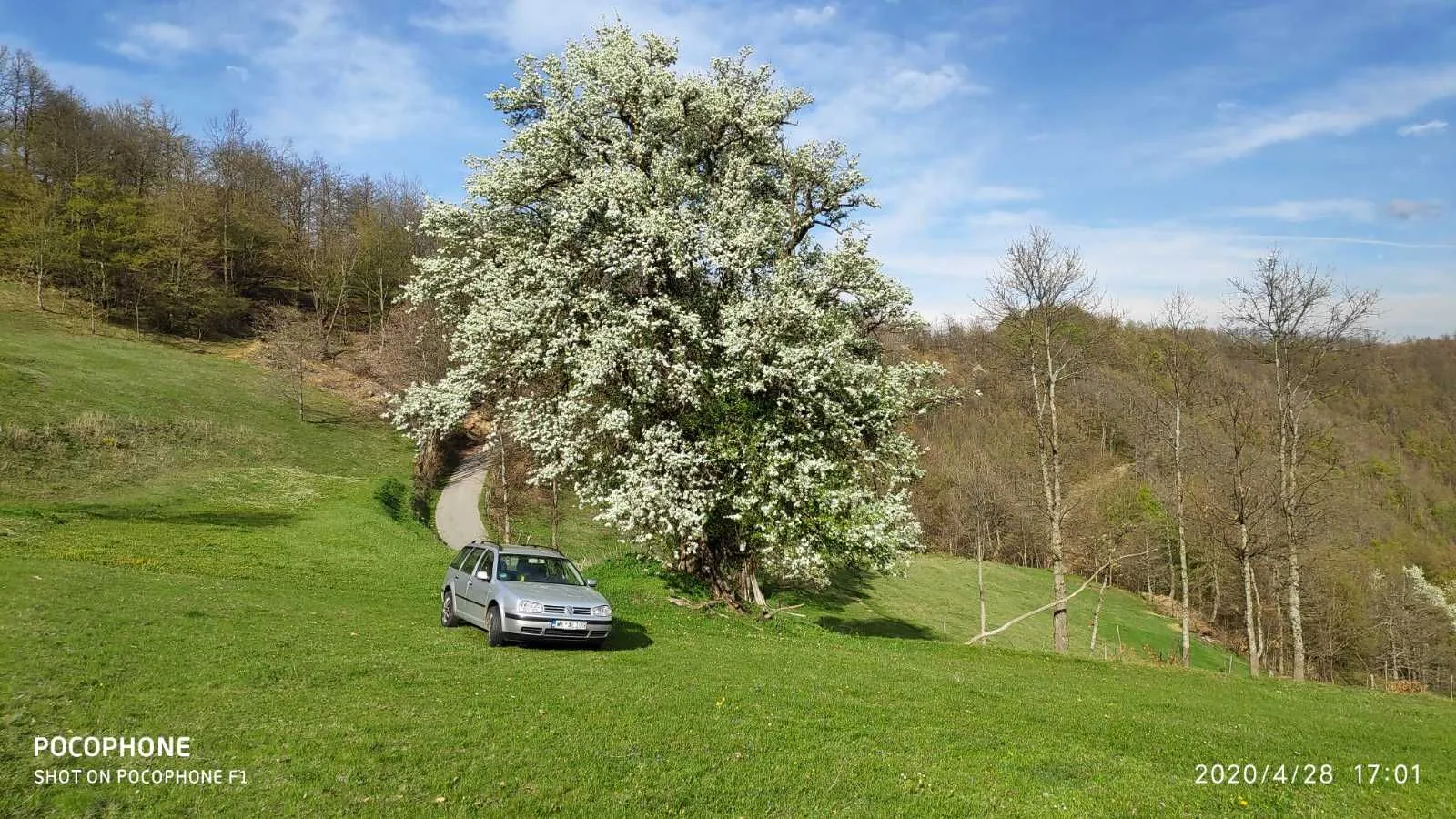 Prodaja, plac, 30905m², Mojkovac, Crna Gora