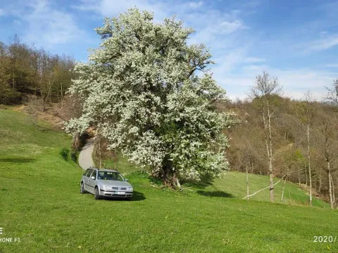 Prodaja, plac, 30905m², Mojkovac, Crna Gora - image 4