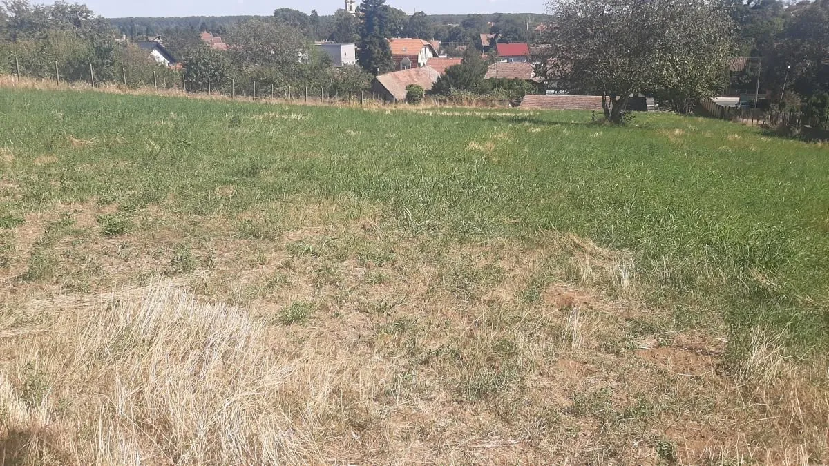 Prodaja, plac, 2800m², Petrovaradin, Novi Sad