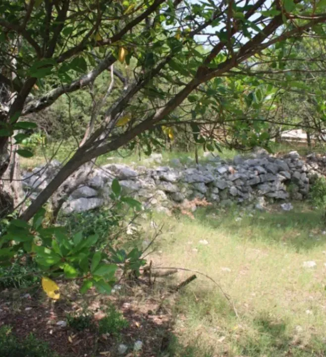 Prodaja, plac, 300m², Luštica, Herceg Novi