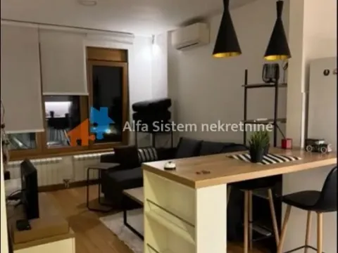 Izdavanje, stan, 35m², Južni Bulevar, Vračar Sve Podlokacije - image 2