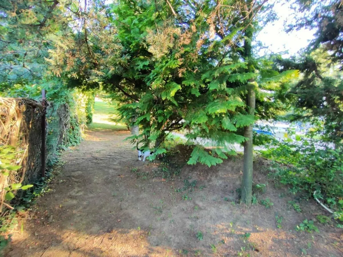 Prodaja, kuća, 81m², Sremska Kamenica, Petrovaradin