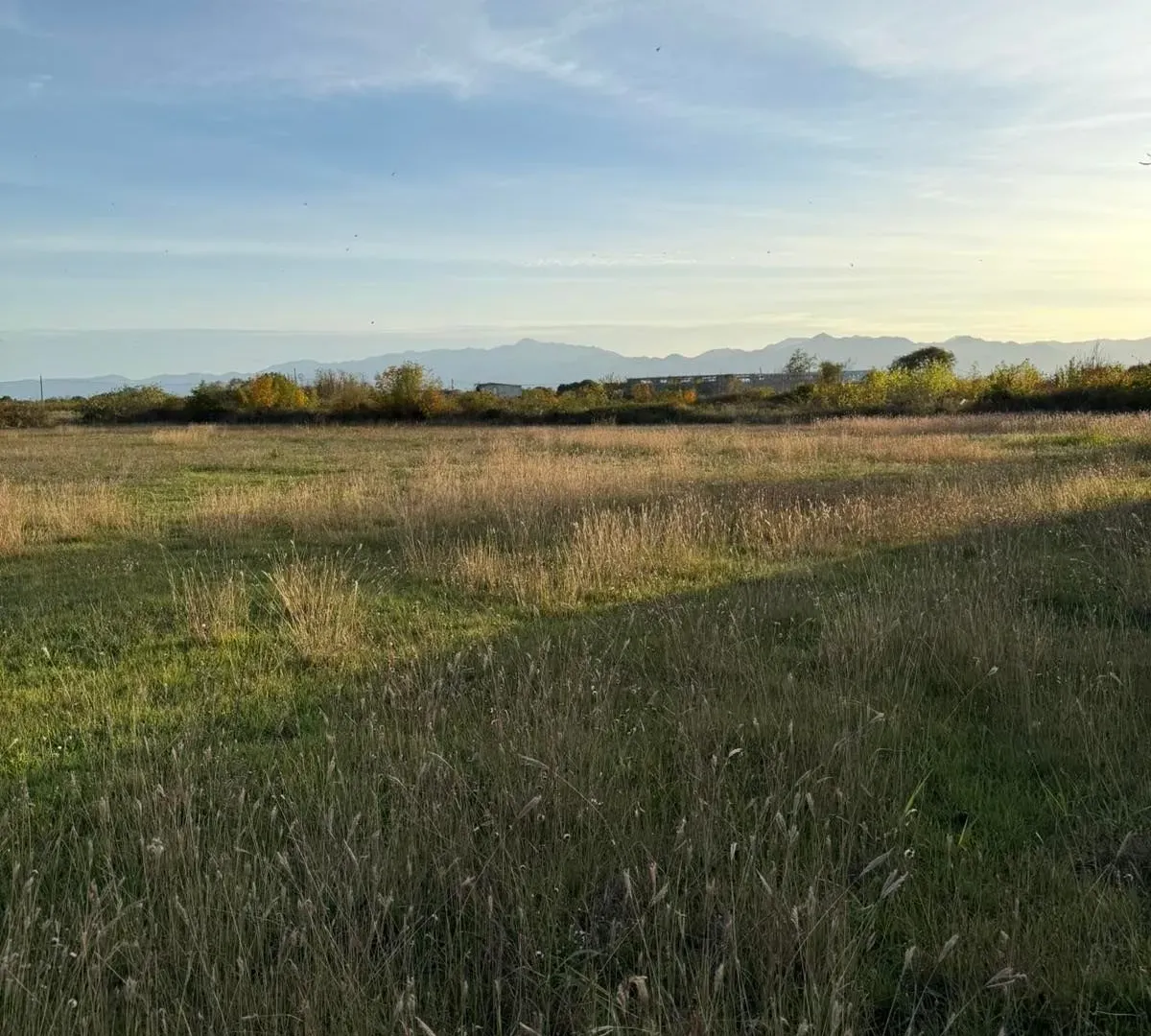 Prodaja, plac, 4929m², Zeta, Podgorica