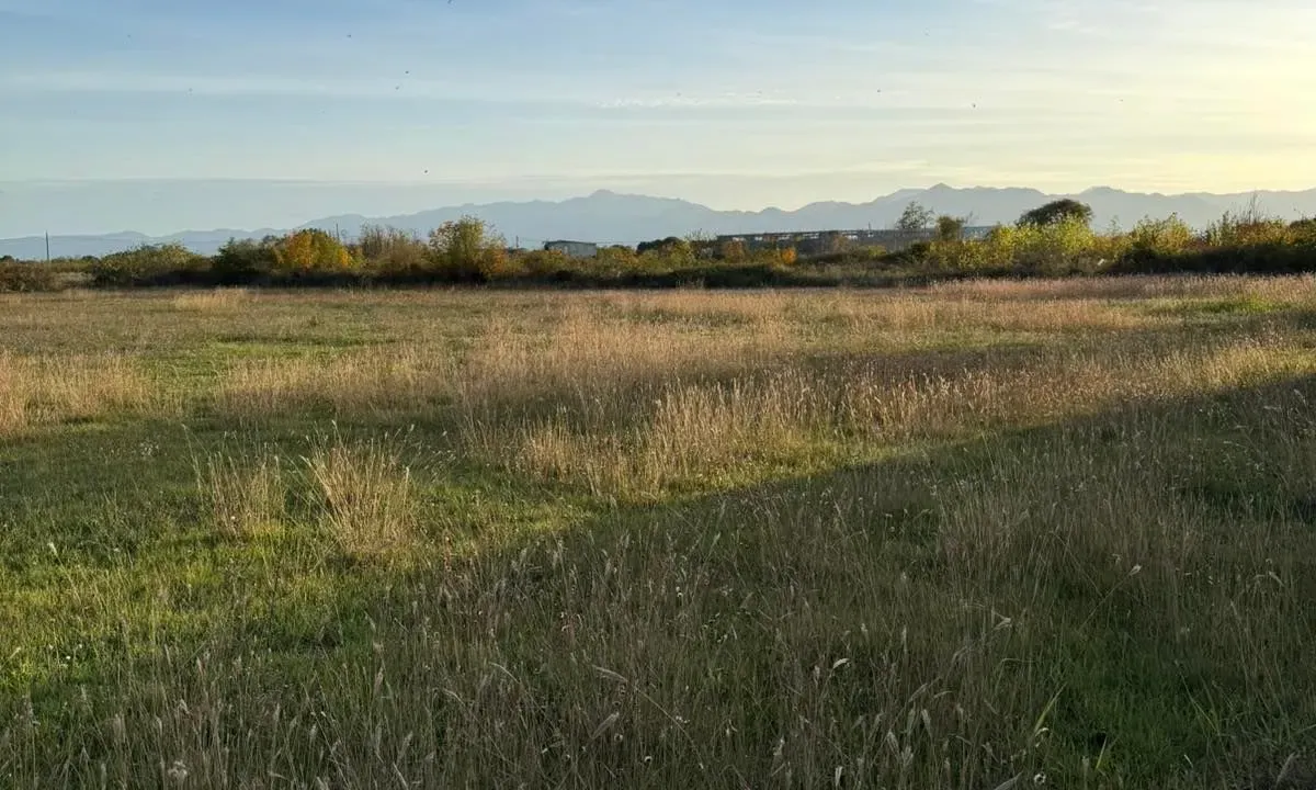 Sale, land lot, 4929m², Zeta, Podgorica