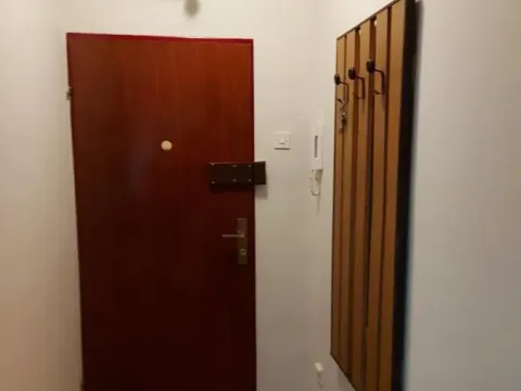 Izdavanje, garsonjera, 24m², Spens, Novi Sad Sve Podlokacije - image 4