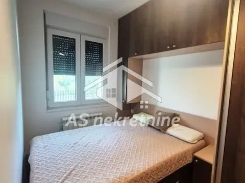 Izdavanje, stan, 37m², Zemun Sve Podlokacije, Beograd - image 11
