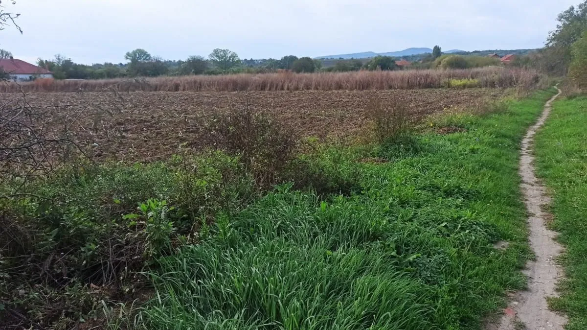 Prodaja, plac, 661m², Jagodina, Srbija