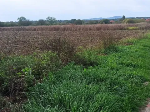 Prodaja, plac, 600m², Jagodina, Srbija - image 6