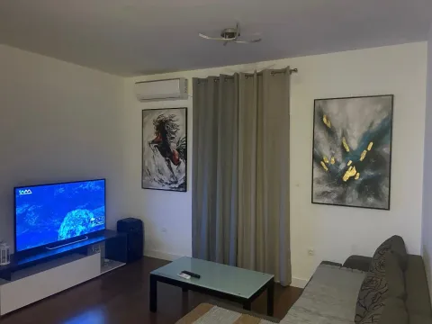 Rent, one bedroom apartment, 46m², Zabjelo, Podgorica - image 2