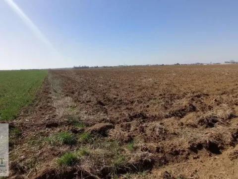 Sale, land lot, 147m², Urovci, Obrenovac - image 3