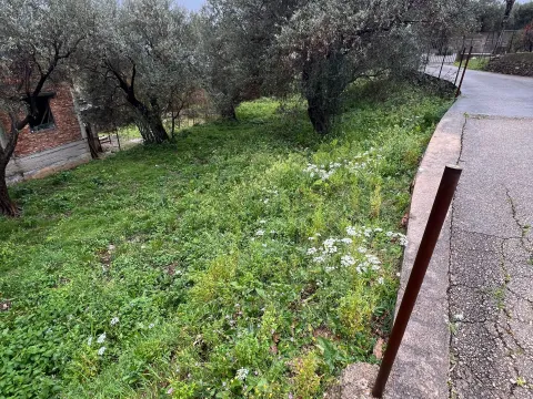 Prodaja, plac, 626m², Stari Bar, Bar - image 6