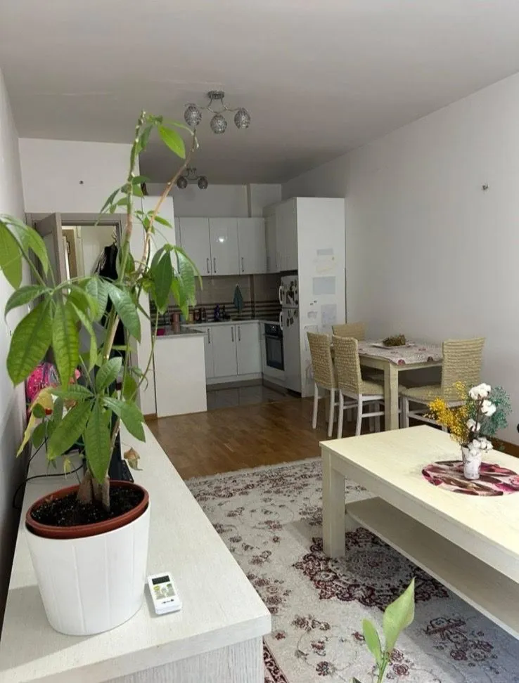 Rent, one bedroom apartment, 48m², Stari Aerodrom, Podgorica