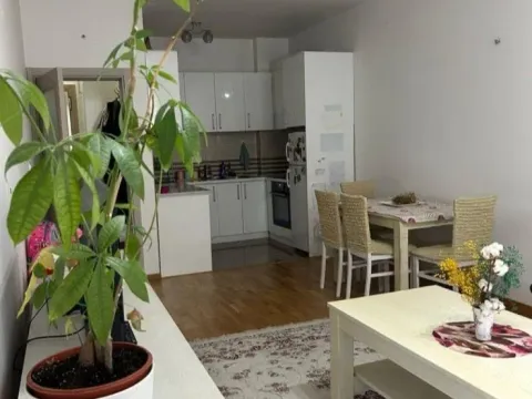 Rent, one bedroom apartment, 48m², Stari Aerodrom, Podgorica - image 2