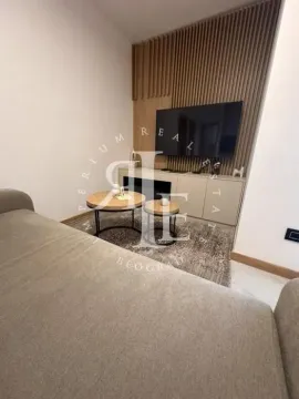 Dnevna soba sa garniturom, stočićima i televizorom na zidu sa drvenim panelima. - image 5