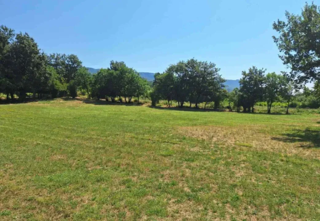 Sale, land lot, 4751m², Donji Martinići, Danilovgrad