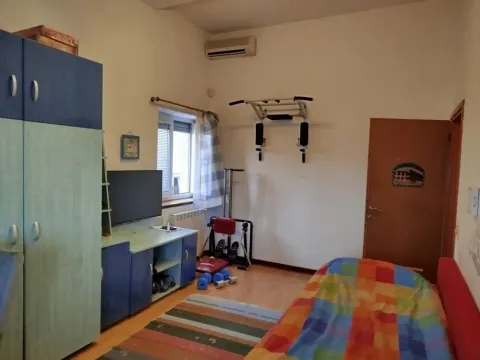 Rent, house, 250m², Olimp, Zvezdara Sve Podlokacije - image 4