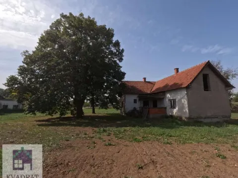 Izdavanje, plac, 6400m², Stubline, Obrenovac - image 21