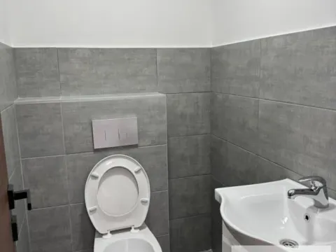 Izdavanje, poslovni prostor, 150m², Centar, Pančevo - image 12