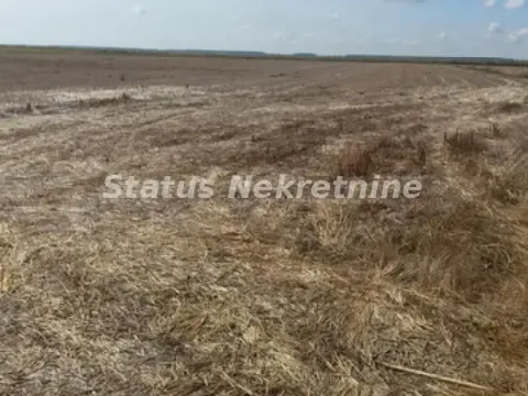 Sale, land lot, 341m², Sremska Mitrovica, Srbija - image 4