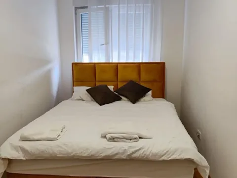 Rent, one bedroom apartment, 43m², Bogoslovija, Palilula Sve Podlokacije - image 4