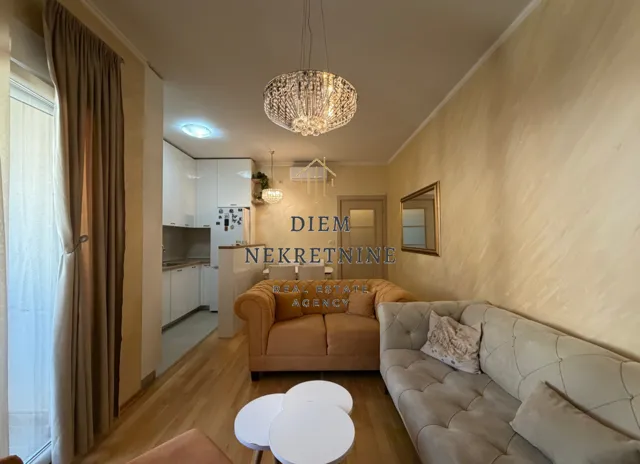 Rent, one bedroom apartment, 44m², Blok 6, Podgorica