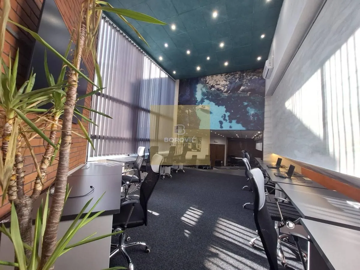Rent, office space, 215m², Banovo Brdo, Beograd